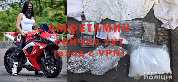 молекула духа Арсеньев