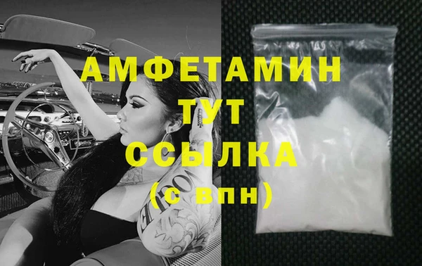 молекула духа Арсеньев