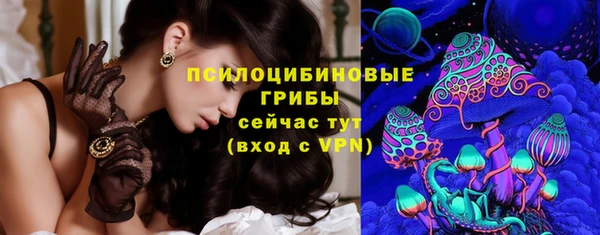 дживик Аркадак