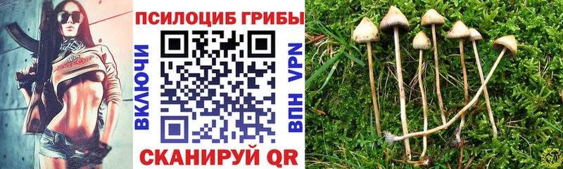 где найти наркотики  Саяногорск  hydra как войти  Галлюциногенные грибы прущие грибы 